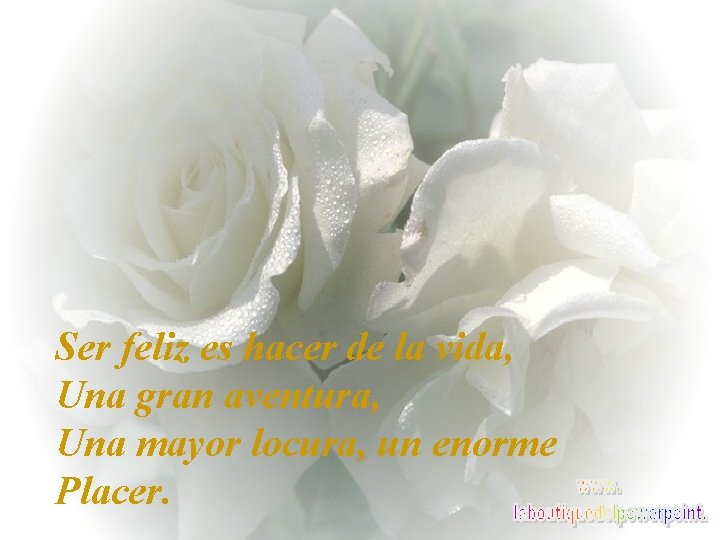 Ser feliz es hacer de la vida, Una gran aventura, Una mayor locura, un