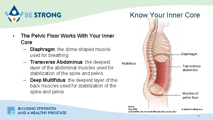 Know Your Inner Core • The Pelvic Floor Works With Your Inner Core –