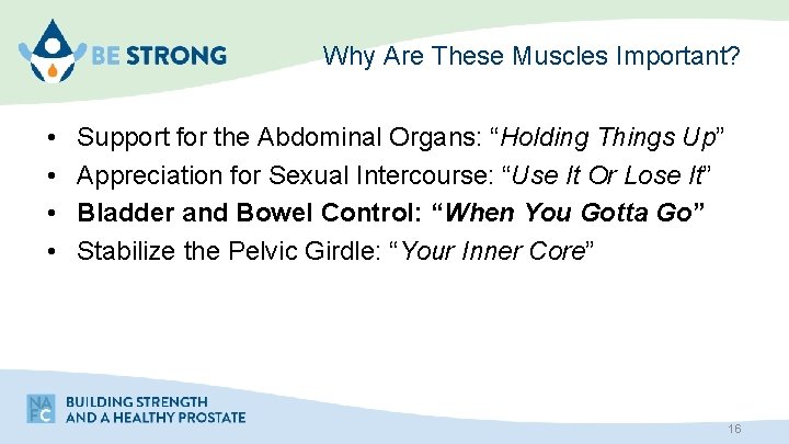 Why Are These Muscles Important? • • Support for the Abdominal Organs: “Holding Things