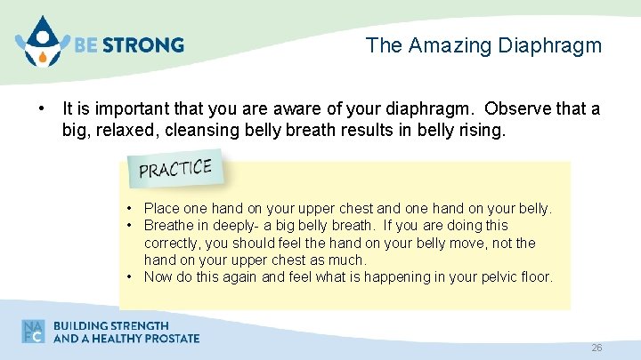 The Amazing Diaphragm • It is important that you are aware of your diaphragm.