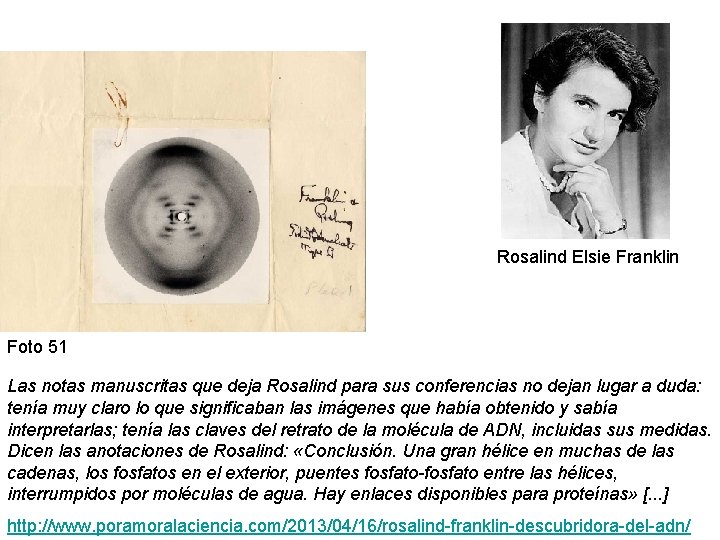 Rosalind Elsie Franklin Foto 51 Las notas manuscritas que deja Rosalind para sus conferencias