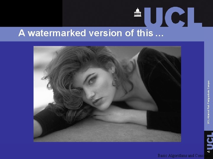 UCL Adastral Park Postgraduate Campus A watermarked version of this … Basic Algorithms and