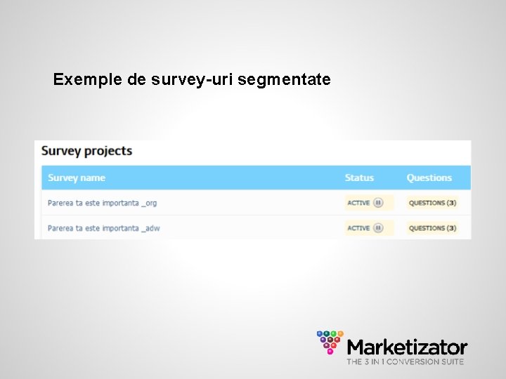 Exemple de survey-uri segmentate 