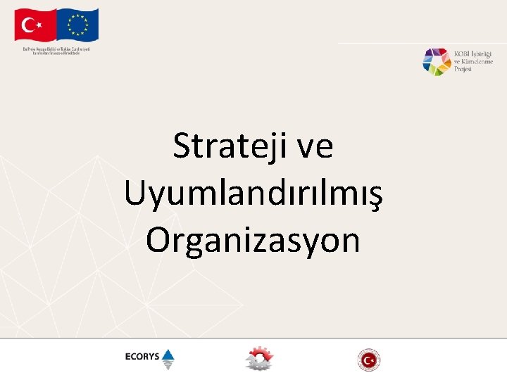 Strateji ve Uyumlandırılmış Organizasyon 