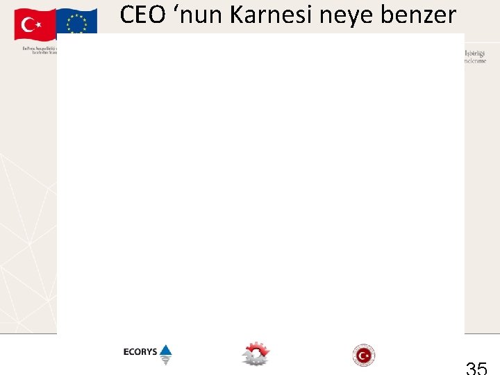 CEO ‘nun Karnesi neye benzer 