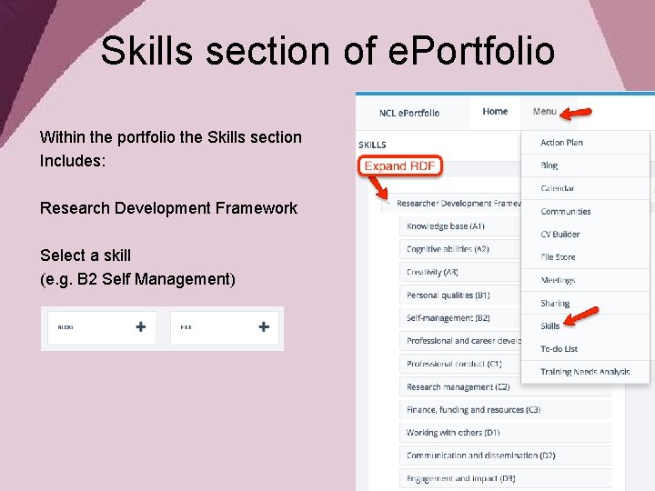Skills section of e. Portfolio Within the portfolio the Skills section Includes: Research Development