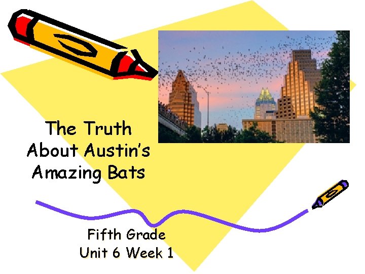 The Truth About Austin’s Amazing Bats Fifth Grade Unit 6 Week 1 