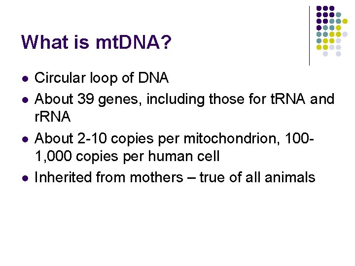 What is mt. DNA? l l Circular loop of DNA About 39 genes, including What is mt. DNA? l l Circular loop of DNA About 39 genes, including