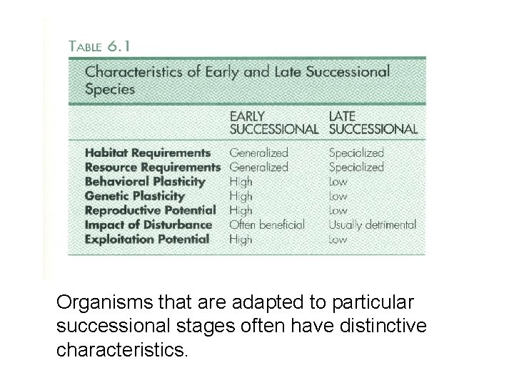 Organisms that are adapted to particular successional stages often have distinctive characteristics. 