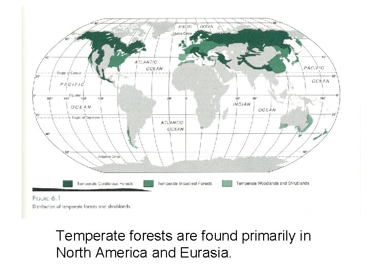 Temperate forests are found primarily in North America and Eurasia. 