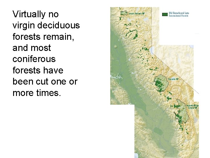 Virtually no virgin deciduous forests remain, and most coniferous forests have been cut one