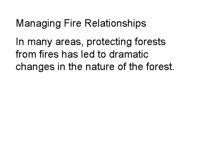 Managing Fire Relationships In many areas, protecting forests from fires has led to dramatic