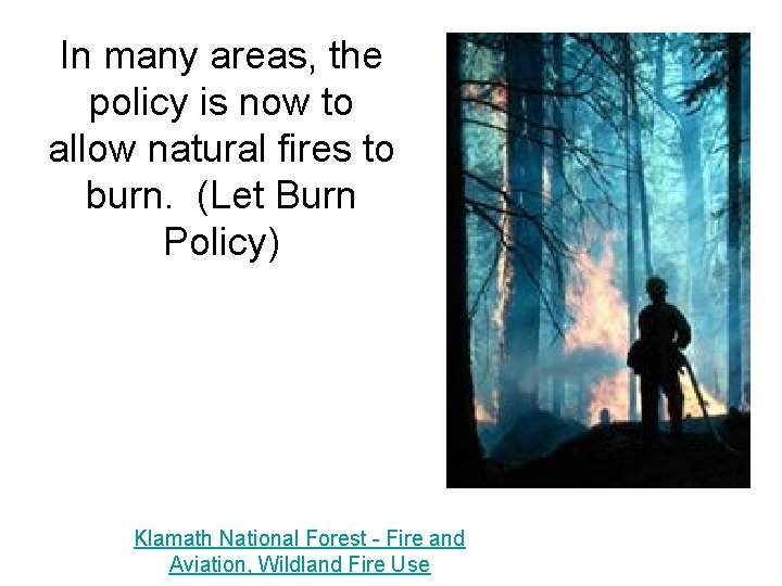 In many areas, the policy is now to allow natural fires to burn. (Let