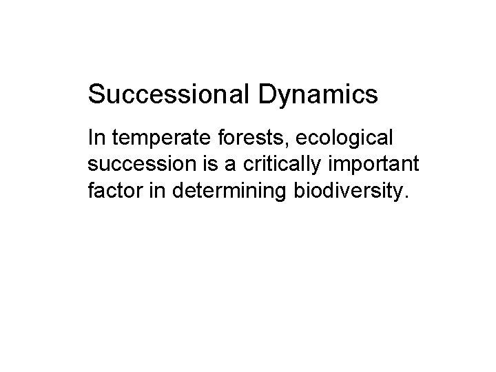 Successional Dynamics In temperate forests, ecological succession is a critically important factor in determining