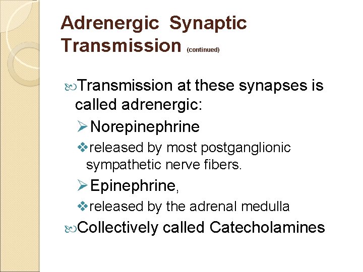 Adrenergic Synaptic Transmission (continued) Transmission at these synapses is called adrenergic: ØNorepinephrine vreleased by
