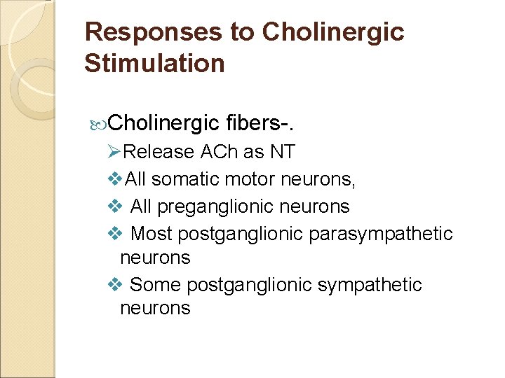 Responses to Cholinergic Stimulation Cholinergic fibers-. ØRelease ACh as NT v. All somatic motor