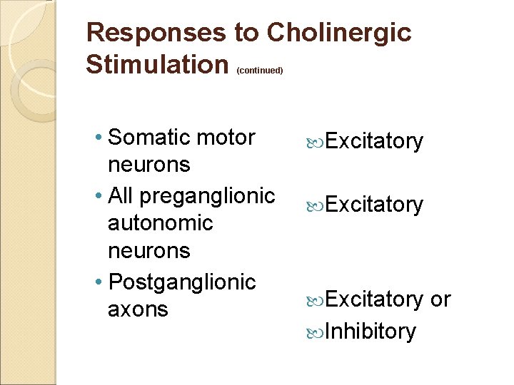 Responses to Cholinergic Stimulation (continued) • Somatic motor neurons • All preganglionic autonomic neurons