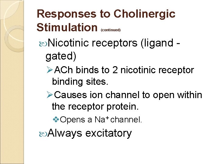 Responses to Cholinergic Stimulation Nicotinic receptors (ligand gated) (continued) ØACh binds to 2 nicotinic
