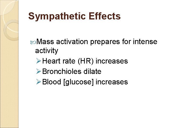 Sympathetic Effects Mass activation prepares for intense activity ØHeart rate (HR) increases ØBronchioles dilate
