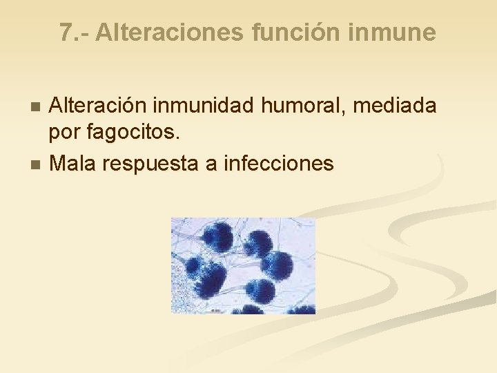 7. - Alteraciones función inmune Alteración inmunidad humoral, mediada por fagocitos. n Mala respuesta