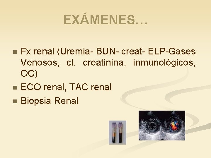 EXÁMENES… Fx renal (Uremia- BUN- creat- ELP-Gases Venosos, cl. creatinina, inmunológicos, OC) n ECO
