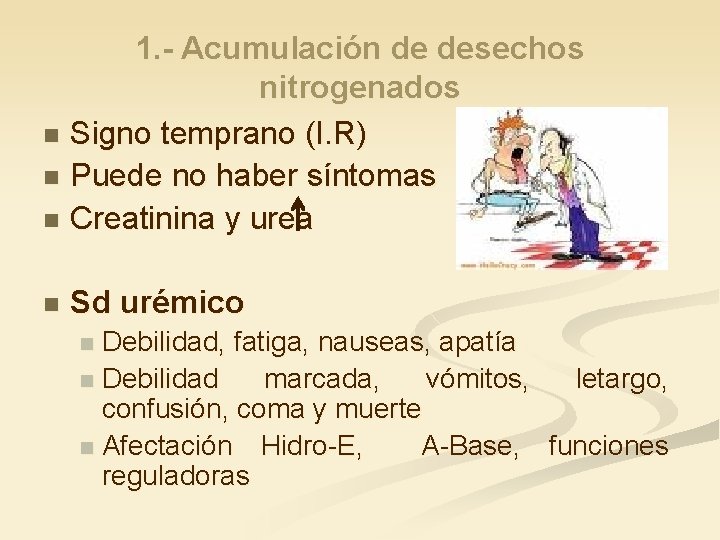 1. - Acumulación de desechos nitrogenados n Signo temprano (I. R) n Puede no