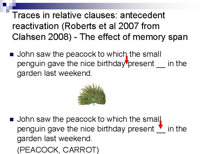 Traces in relative clauses: antecedent reactivation (Roberts et al 2007 from Clahsen 2008) -