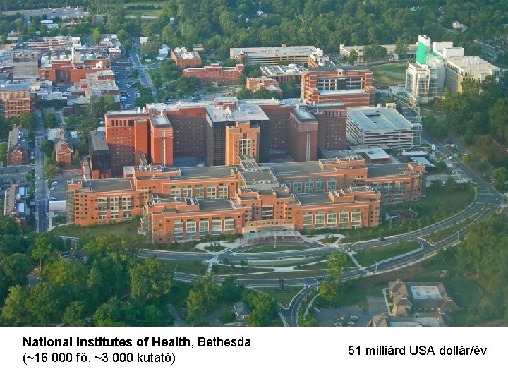 National Institutes of Health, Bethesda (~16 000 fő, ~3 000 kutató) 51 milliárd USA