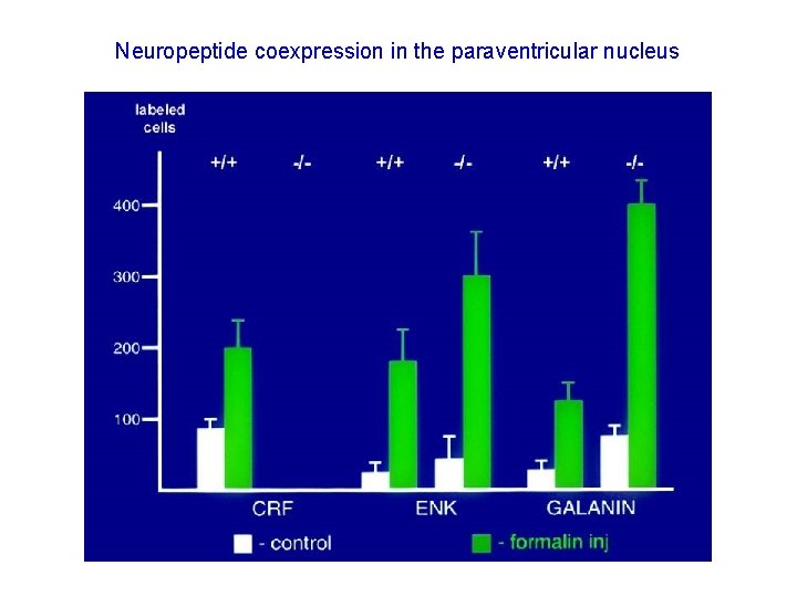 Neuropeptide coexpression in the paraventricular nucleus Neuropeptide coexpression in the paraventricular nucleus