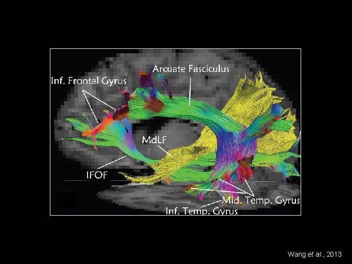 Wang et al. , 2013 