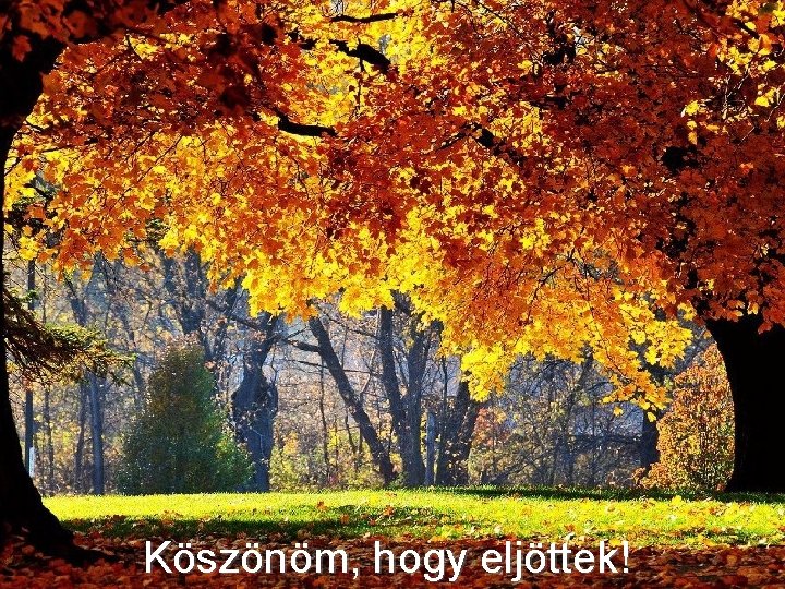 Köszönöm, hogy eljöttek! Köszönöm, hogy eljöttek!