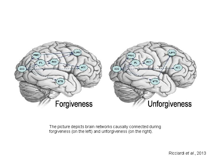 The picture depicts brain networks causally connected during forgiveness (on the left) and unforgiveness