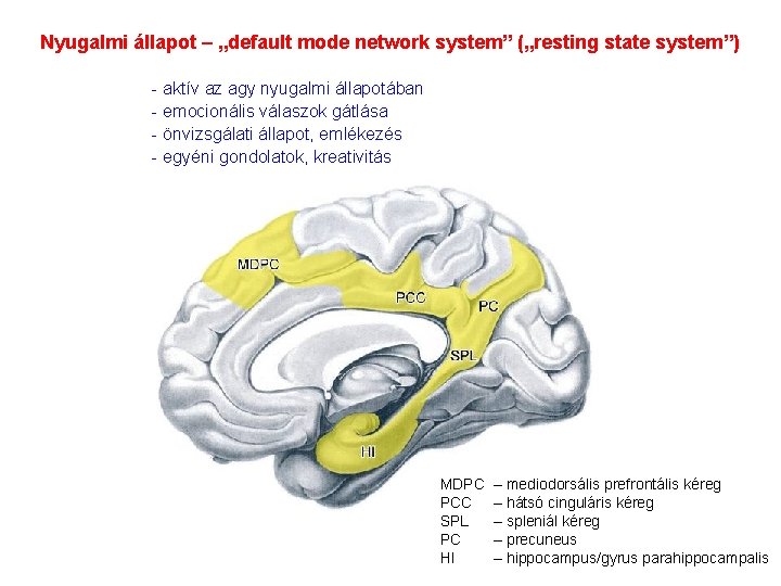 Nyugalmi állapot – „default mode network system” („resting state system”) - aktív az agy Nyugalmi állapot – „default mode network system” („resting state system”) - aktív az agy