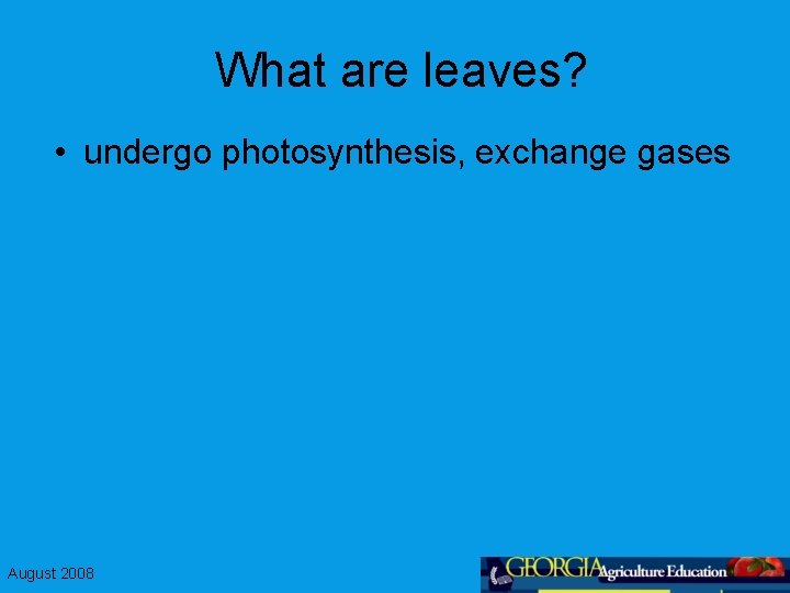 What are leaves? • undergo photosynthesis, exchange gases August 2008 