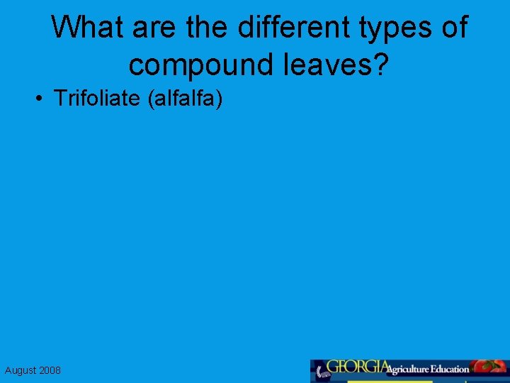 What are the different types of compound leaves? • Trifoliate (alfalfa) August 2008 