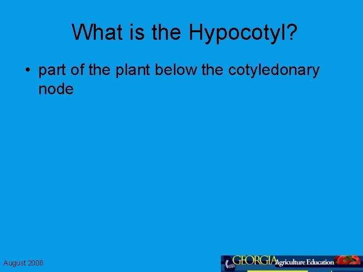 What is the Hypocotyl? • part of the plant below the cotyledonary node August