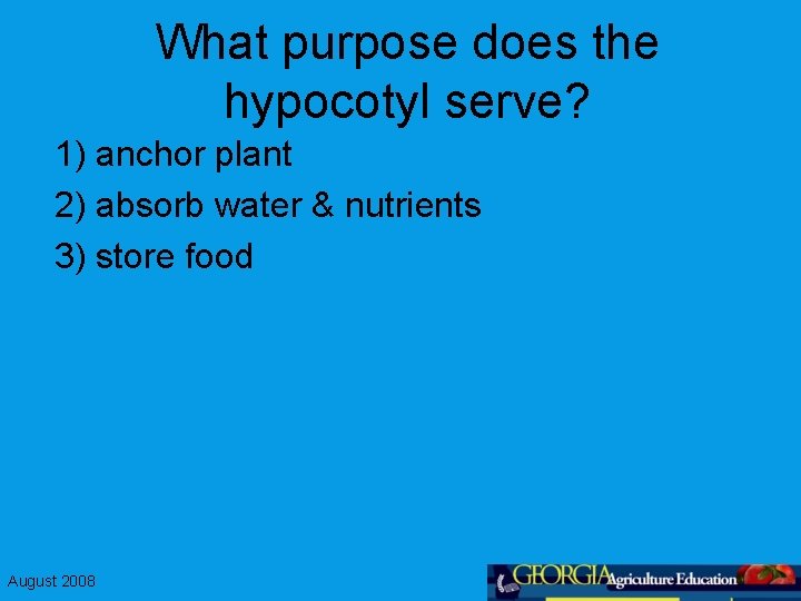 What purpose does the hypocotyl serve? 1) anchor plant 2) absorb water & nutrients