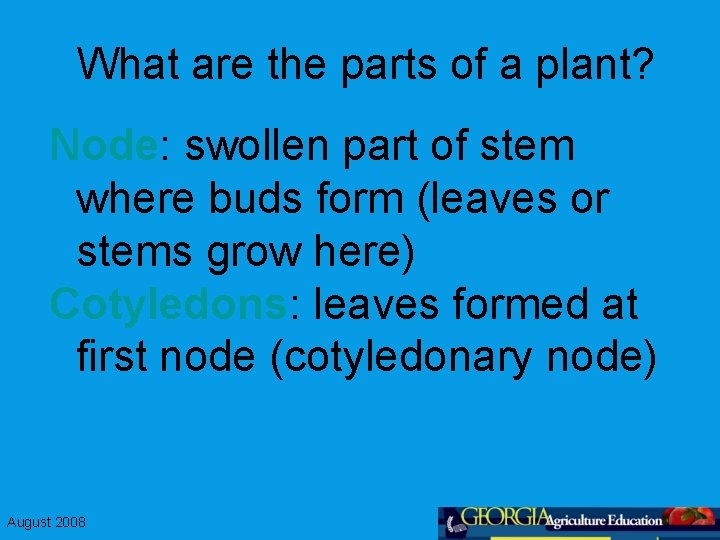 What are the parts of a plant? Node: swollen part of stem where buds