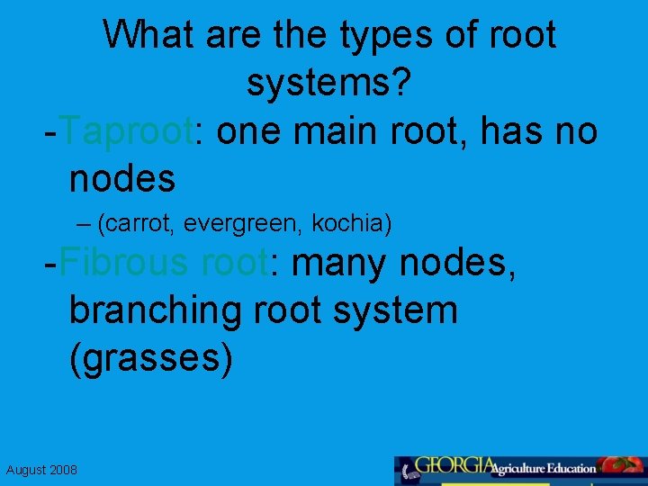 What are the types of root systems? -Taproot: one main root, has no nodes