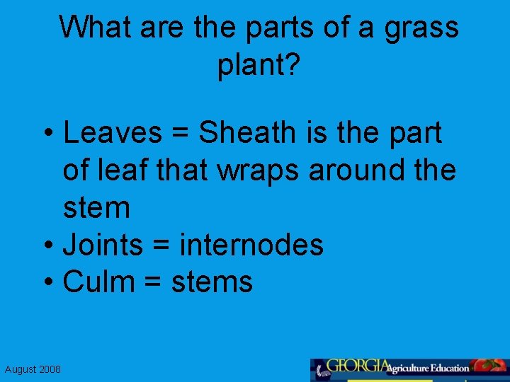 What are the parts of a grass plant? • Leaves = Sheath is the