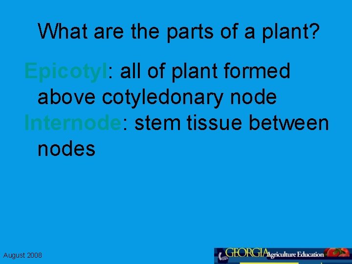 What are the parts of a plant? Epicotyl: all of plant formed above cotyledonary