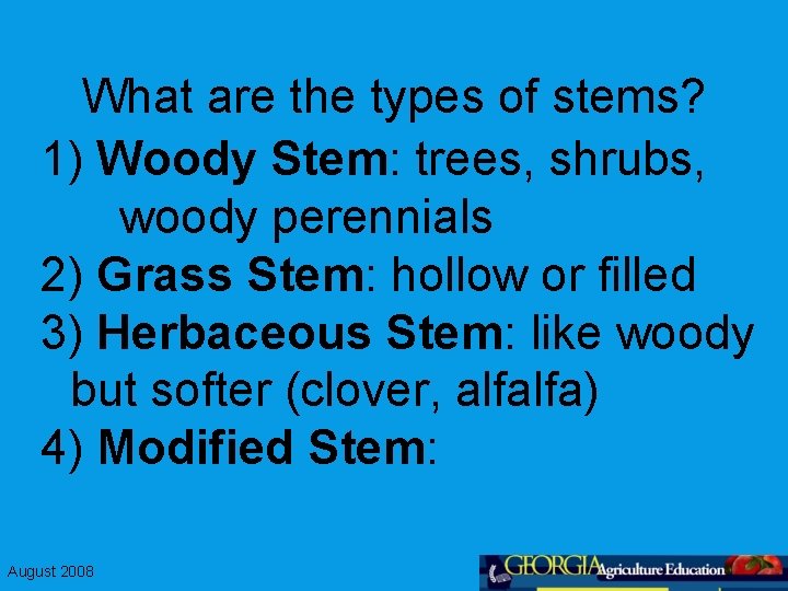 What are the types of stems? 1) Woody Stem: trees, shrubs, woody perennials 2)