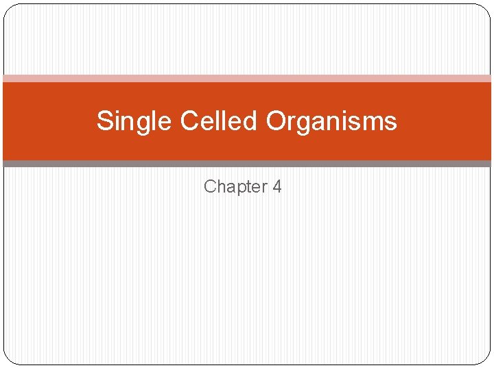 Single Celled Organisms Chapter 4 