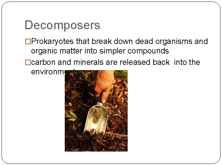 Decomposers �Prokaryotes that break down dead organisms and organic matter into simpler compounds �carbon