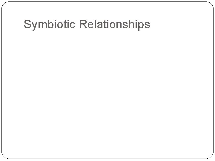 Symbiotic Relationships 