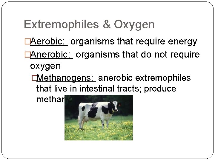 Extremophiles & Oxygen �Aerobic: organisms that require energy �Anerobic: organisms that do not require