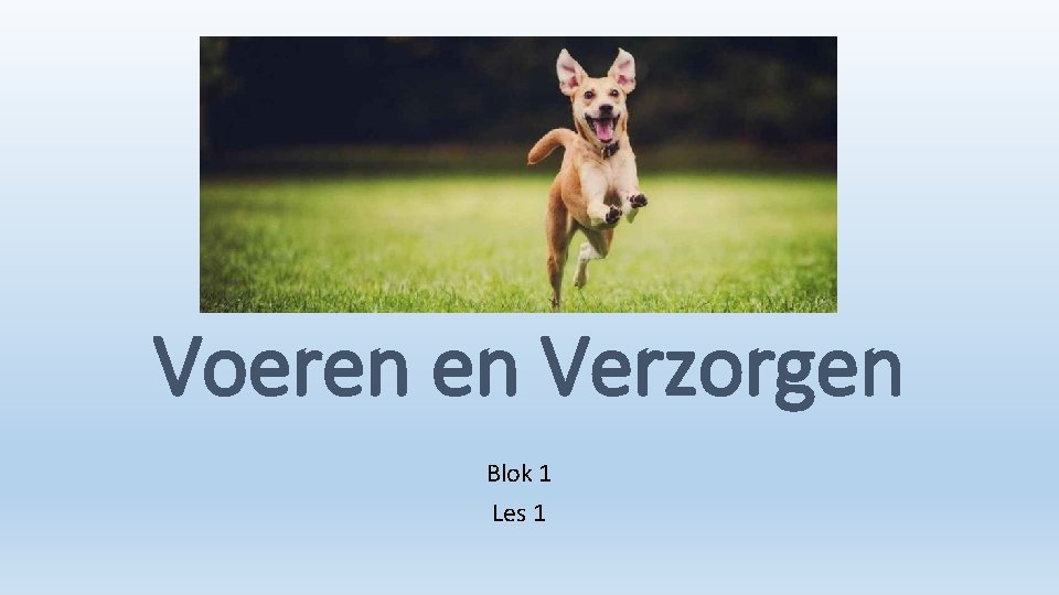 Voeren en Verzorgen Blok 1 Les 1 