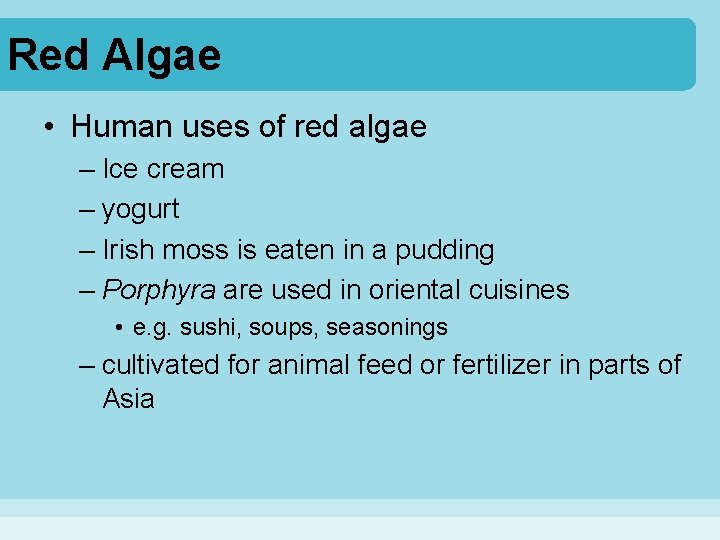 Red Algae • Human uses of red algae – Ice cream – yogurt –