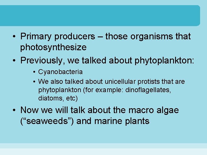  • Primary producers – those organisms that photosynthesize • Previously, we talked about