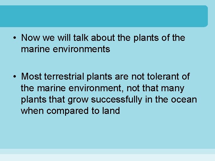  • Now we will talk about the plants of the marine environments •